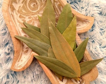 BAY LEAVES - 10 Whole Bay Laurel Leaves