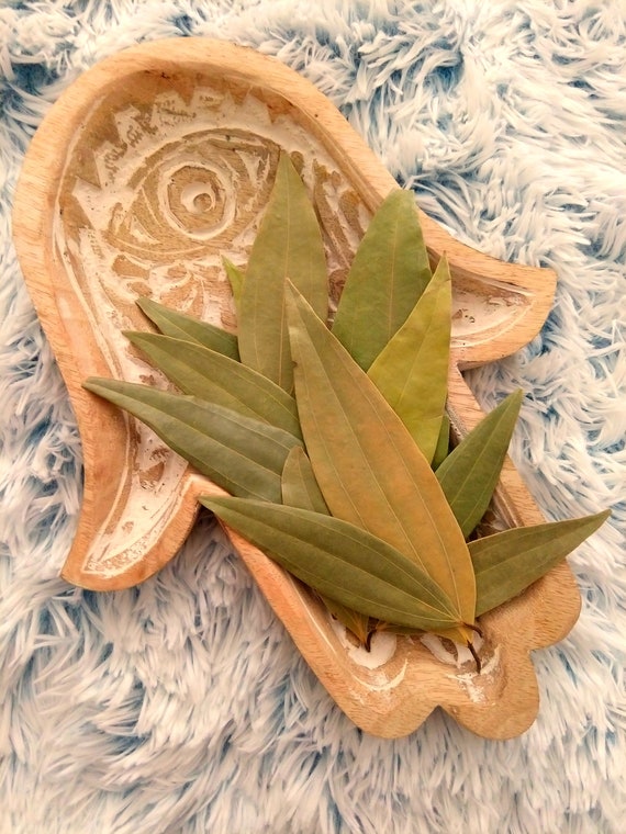 BAY LEAVES - 10 Whole Bay Laurel Leaves