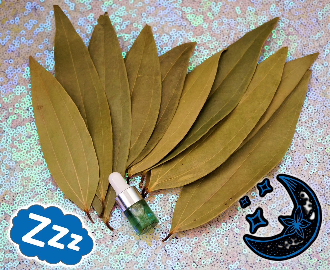 Bay Leaf DREAMS Kit 10 Whole Bay Leaves Dream Healing Oil Etsy