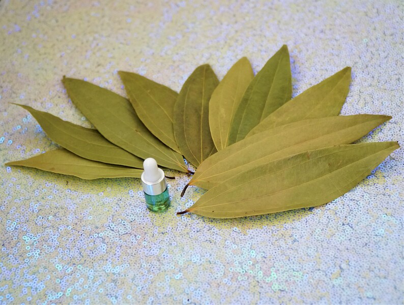 Bay Leaf DREAMS Kit 10 Whole Bay Leaves Dream Healing Oil Etsy