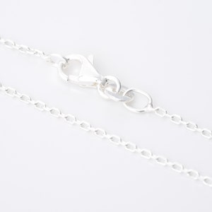 Peut inclure: Un collier en chaîne argent avec un fermoir à ressort.