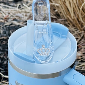 Cinderella shoe Stanley topper