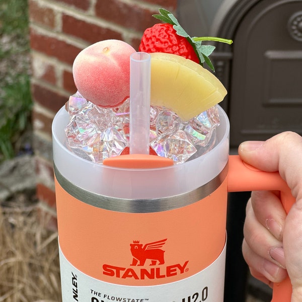 Fruity Cocktail Ice Stanley topper