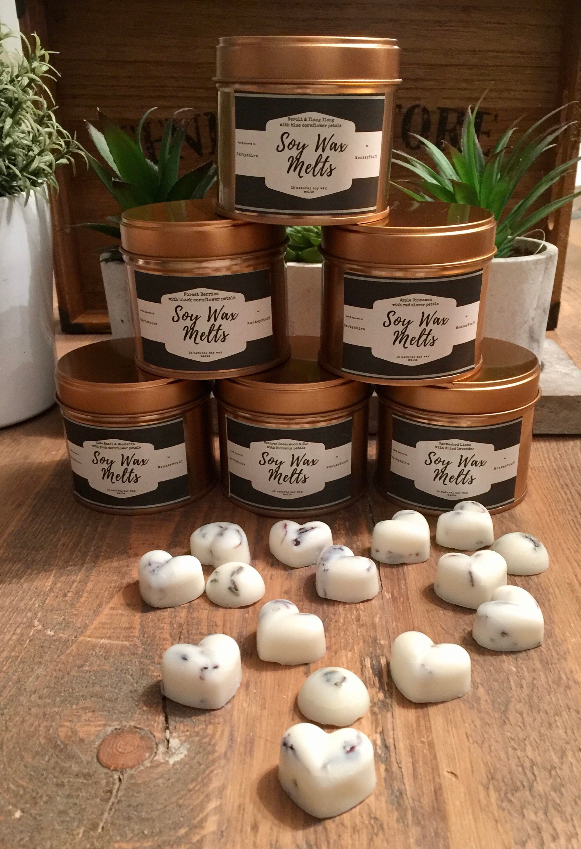 Tin de Natural Soy Wax Melts 6 fragancias para elegir Etsy