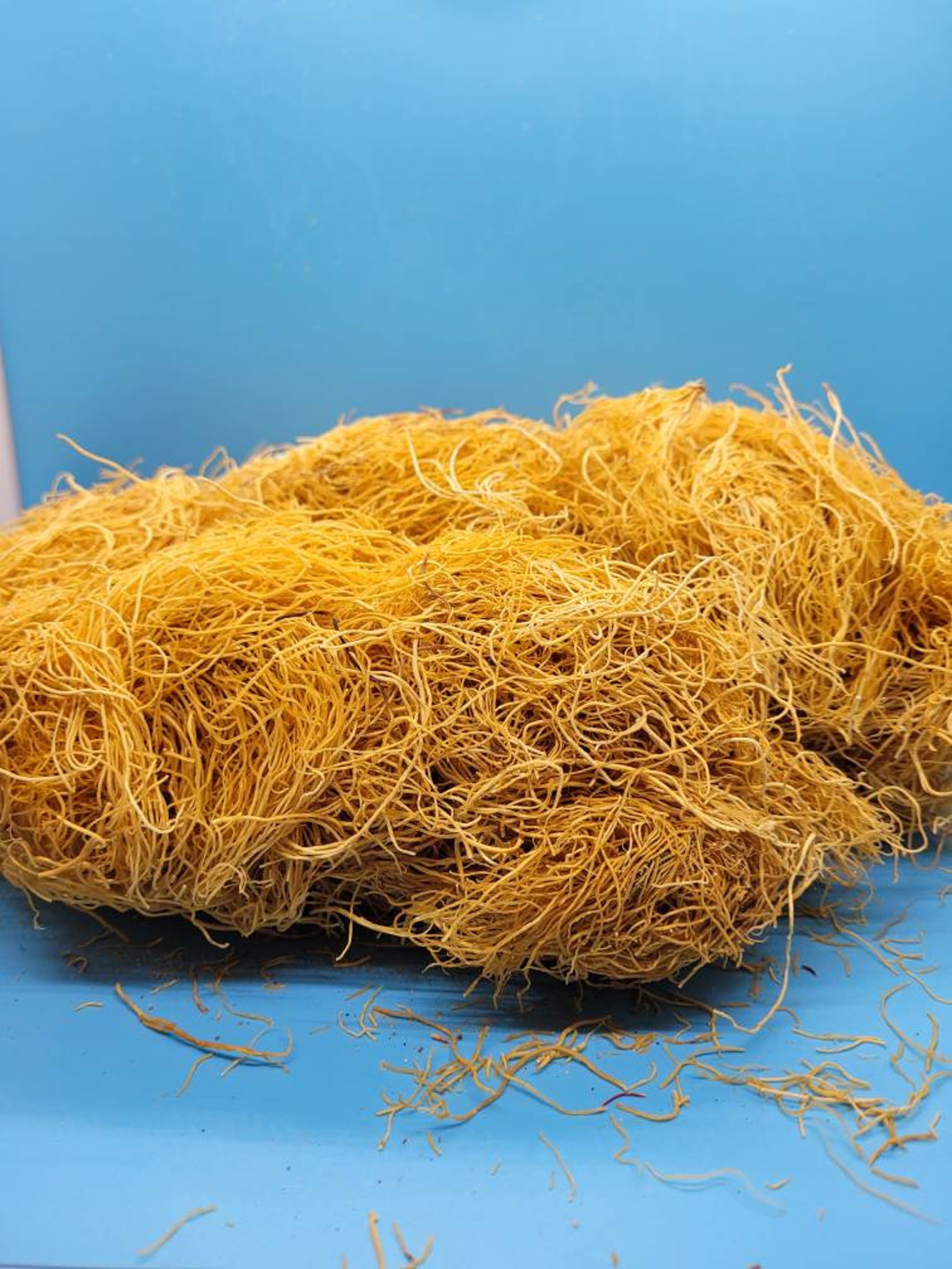 Buy Wild Harvested Honduran Sea Moss. Dr. Sebi Inspired Online in India