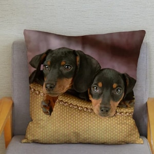 Bonita funda de cojín Dachshund, regalo de perro salchicha