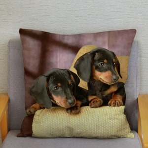 Bonita funda de cojín Dachshund, regalo de perro salchicha