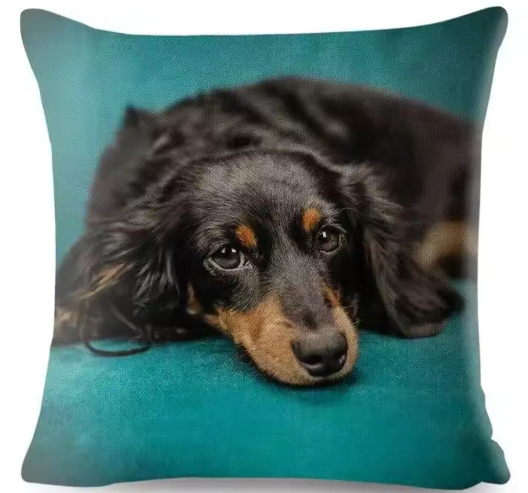 Cojines Decorativos Cojin Perro Salchicha Casa Ideas Bonita Funda