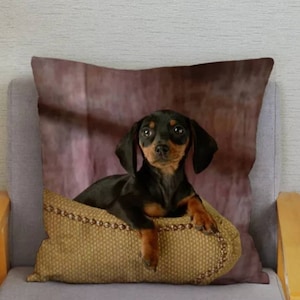 Bonita funda de cojín Dachshund, regalo de perro salchicha
