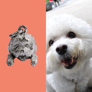Bichon Frise pendant, Bichón Tenerife necklace, silver 925, sterling silver, Bichon à poil frisé jewelry, pet lovers, gift, sterling silver