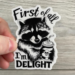 Delight - Raccoon - Sticker