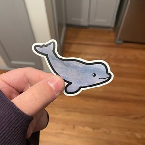 Beluga Whale Sticker