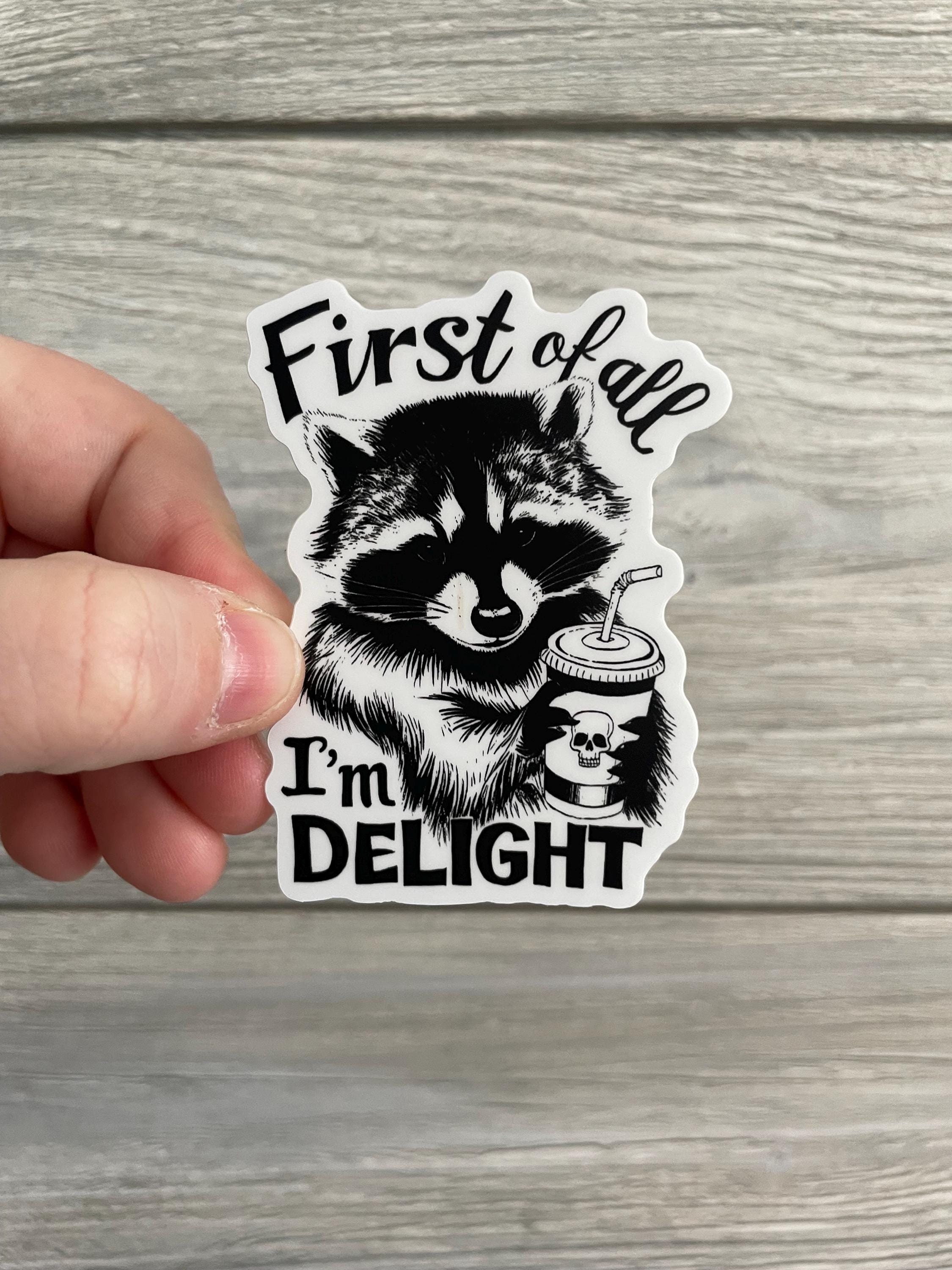 Delight - Raccoon - Sticker - Etsy