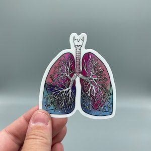 Anatomical Lungs Sticker