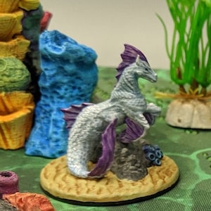 dnd Seahorse Hippocampus Marine Life Sea Creatures Tabletop Scatter Terrain RPG  Pathfinder D&D Dungeons and Dragons