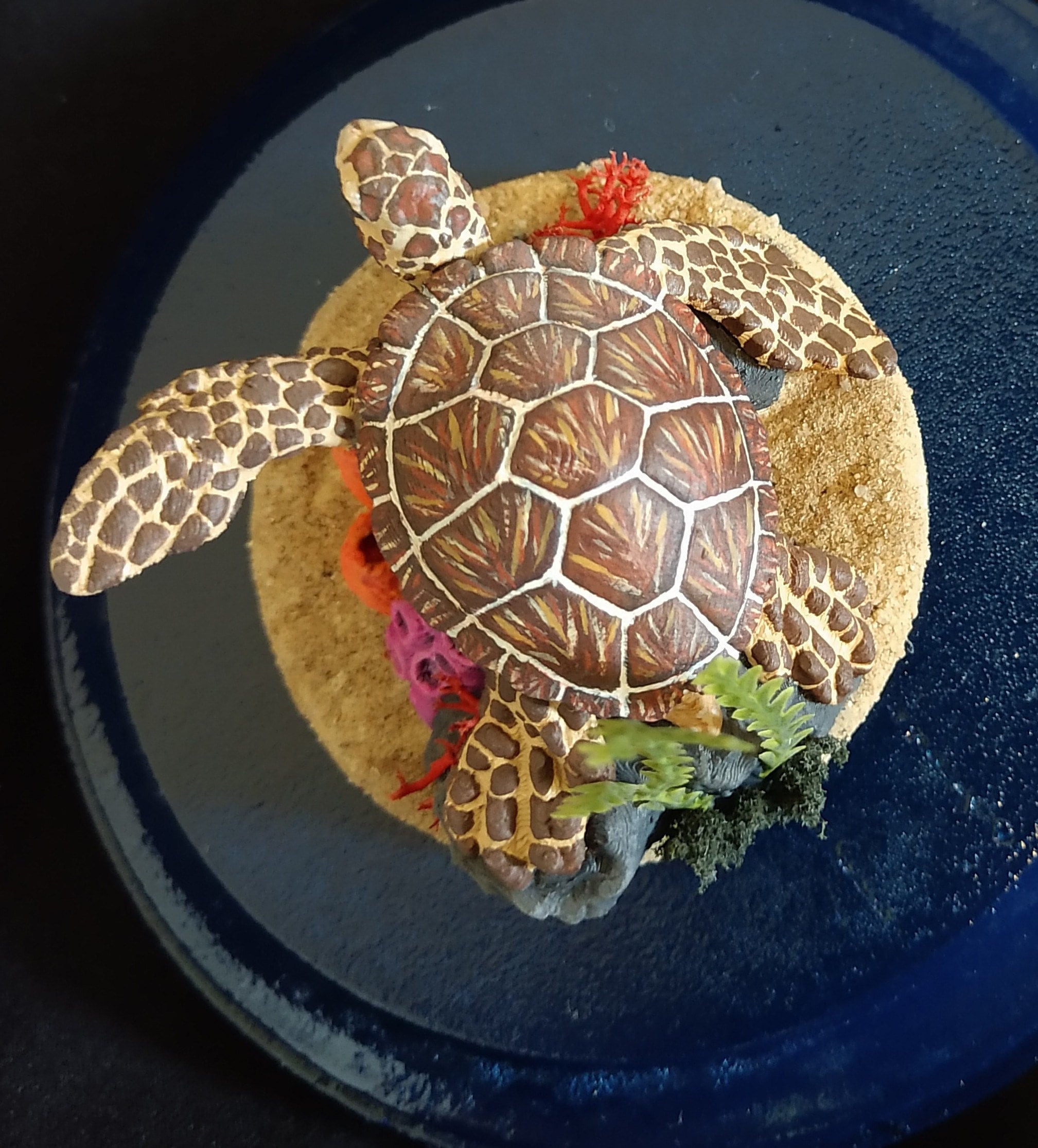 Dnd Giant Sea Turtle Marine Life Underwater Creatures Ocean Animals ...