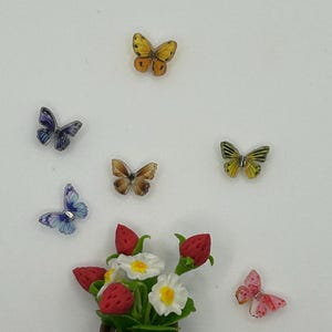 Six Teeny Tiny Butterfly Magnets (random mix)