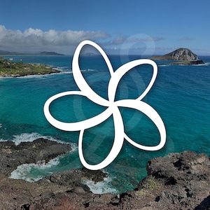 Hawaii Plumeria Decal. Vinyl Decal Only. Personalize Car Windows, Side Doors, Surfboards, Laptops, Water Bottles, Tumblers.
