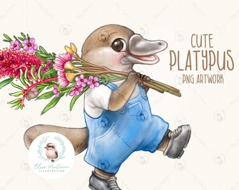 Cute Baby Platypus Etsy