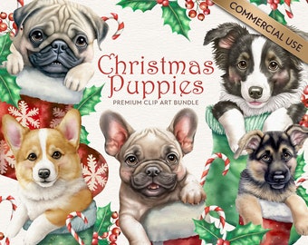 Christmas Puppy Clipart, Cute Christmas Puppies in Stockings, Dog Clipart, PNG Files, Digital Download