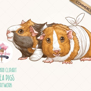 Guinea Pig Clipart, Guinea Pig PNG, Veterinary Clipart, Vet Clip Art, Disabled Pet, Animal Rescue, Animal Hospital, Pet Rescue