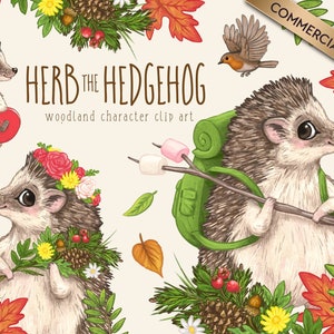 Woodland Clipart of Hedgehog, Cute Hedgehog ClipArt, Hedgehog Illustration, Cute Animal Clip Art, Herb the Hedgehog
