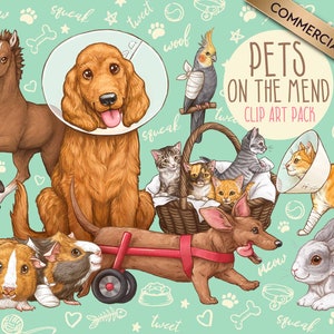 May include: Clip art pack of various pets with bandages and cones of shame.  The pack includes a horse, a dog, a cat, a guinea pig, a rabbit, and a cockatiel.  The text "Pets on the Mend Clip Art Pack" is at the top of the image.