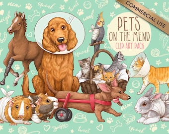 Veterinary Clipart, Disabled Pets, Healing Pets, Vet Tech Clip Art, Veterinarian, Vet Technician, Animal Care, Animal Shelter PNG Files