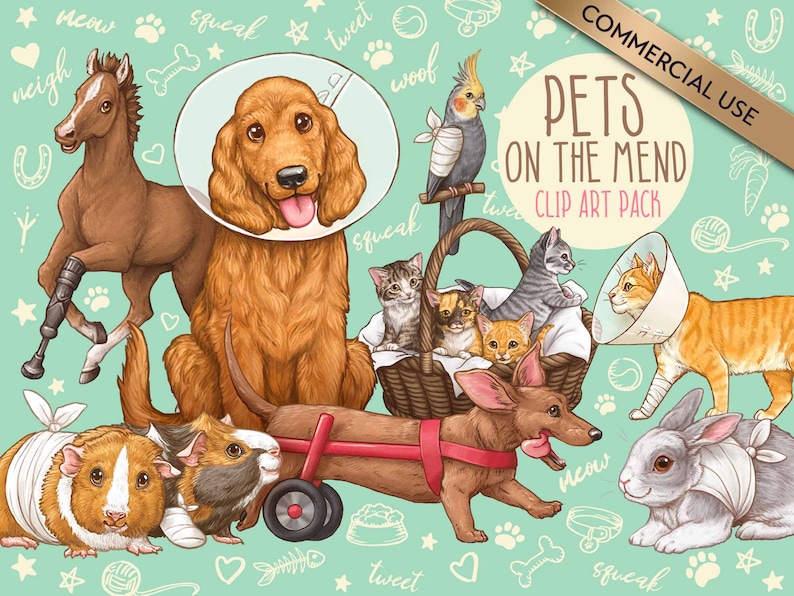 May include: Clip art pack of various pets with bandages and cones of shame.  The pack includes a horse, a dog, a cat, a guinea pig, a rabbit, and a cockatiel.  The text "Pets on the Mend Clip Art Pack" is at the top of the image.