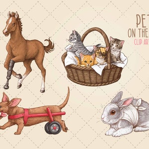 May include: Clip art pack of pets on the mend. A brown horse with a prosthetic leg, a dachshund with a red wheeled cart, a gray rabbit with a bandage, and a basket of kittens with bandages.