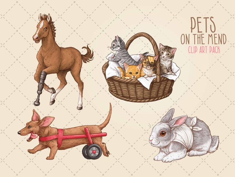 May include: Clip art pack of pets on the mend. A brown horse with a prosthetic leg, a dachshund with a red wheeled cart, a gray rabbit with a bandage, and a basket of kittens with bandages.
