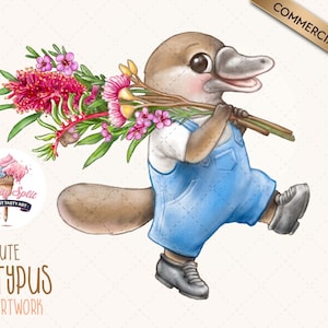 Cute Platypus Clip Art, Platypus PNG illustration, Platypus Clipart for Kids Invites, Crafts, Australia Platypus Drawing Download