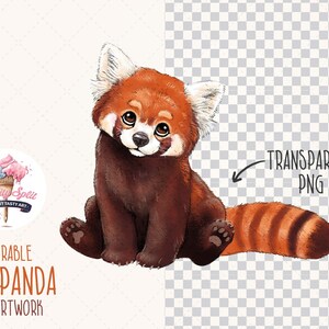 May include: A watercolor illustration of a red panda sitting with its tail curled behind it. The red panda has a brown body with a red and white striped tail. The background is transparent.