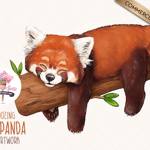 Sleeping Red Panda Clipart, Cute Red Panda PNG Illustration, Red Panda Clip Art for Sublimation, Scrapbooking and Crafts, Red Panda Drawing