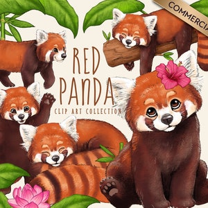 Cute Red Panda Clipart Bundle, Red Panda PNG Clip Art Pack, Red Panda Drawing, Commercial Use Option, Instant Digital Download