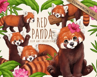 Cute Red Panda Clipart Bundle, Red Panda PNG Clip Art Pack, Red Panda Drawing, Commercial Use Option, Instant Digital Download