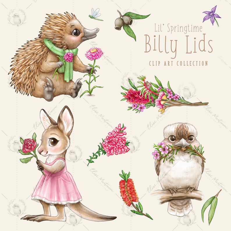 Illustration of an echidna pocking flowers, a kangaroo holding a waratah flower, a kookaburra with wax flowers in his beak plus other australian flower elements.