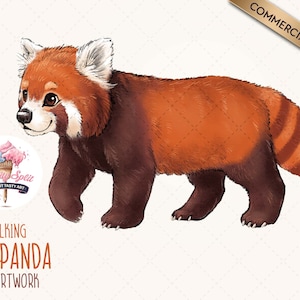 Walking Red Panda Clipart, Cute Red Panda PNG Illustration, Red Panda Clip Art for Scrapbooking and Crafts, Red Panda Drawing