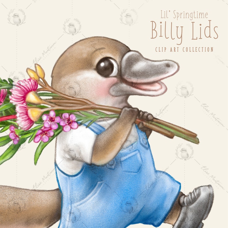 Close up of a platypus holding a bouquet of australian flowers, wearing overalls.