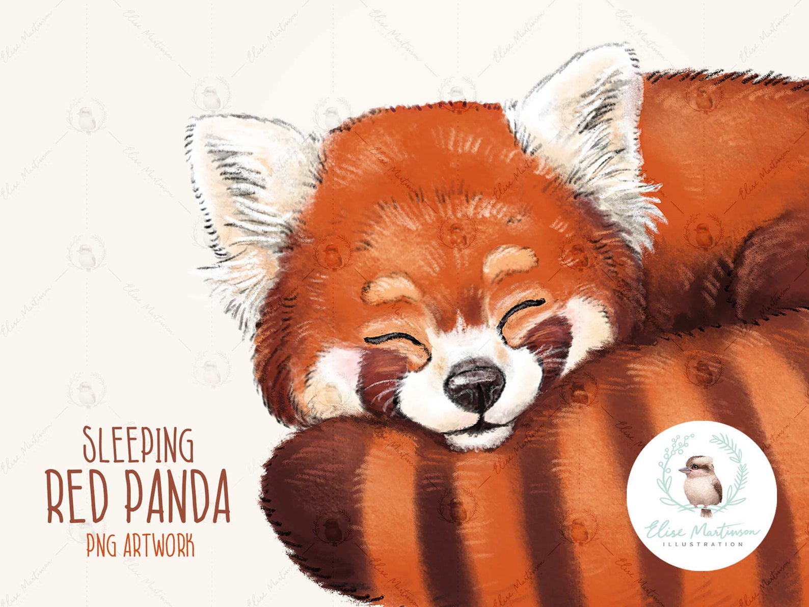 Red Panda Clipart Red Panda PNG Illustration Red Panda Clip - Etsy