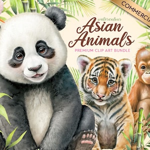 Baby Asian Animal Clipart Bundle - Watercolor Panda, Tiger, Orangutan - High Quality Jungle Animals for Digital and Print Projects
