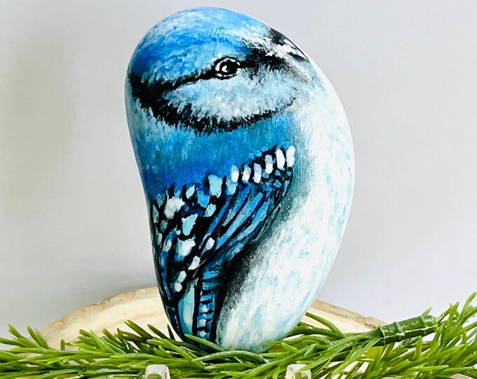 Blue Jay Painted Rock, Bird Rock Painting, Original Bird Painting ...