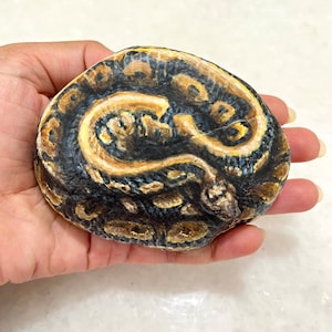 Hand-Painted Snake Rock: Coiled Python Collectible Paperweight, original snake painting on stone