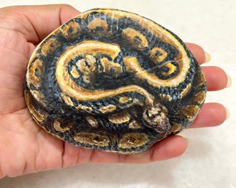 Hand-Painted Snake Rock: Coiled Python Collectible Paperweight, original snake painting on stone