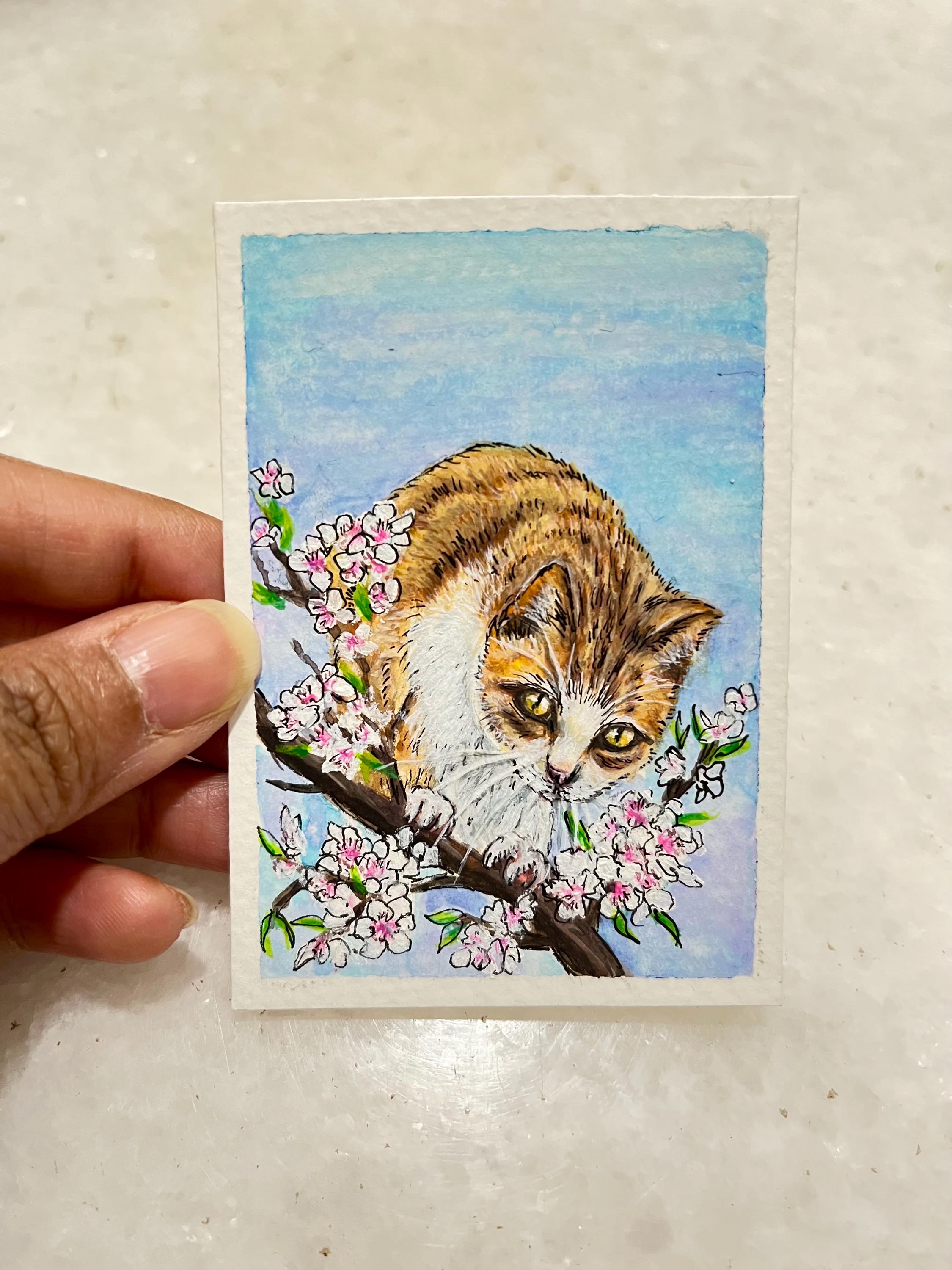 ACEO Original Art Cards 2.5 X 3.5 Inches- Curious Cats Collection ...