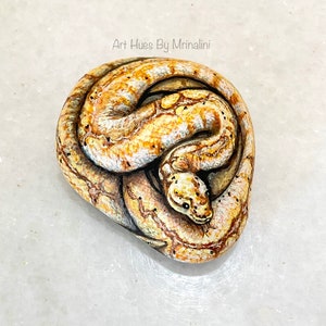 Puede incluir: Una piedra pintada a mano con la forma de una serpiente enrollada. La serpiente est&aacute; pintada en tonos beige y marr&oacute;n con marcas marrones m&aacute;s oscuras. El texto "Art Hues By Mrinalini" es visible.