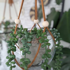 May include: A hanging glass terrarium with a trailing green succulent plant. The clear glass orb is suspended by brown rope with wooden beads. The plant pot is a light grey colour.