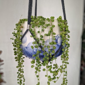 May include: A white ceramic hanging planter with a blue bubble-like pattern, suspended by dark grey cords with silver metal accents. A trailing string of pearls plant with numerous small, round, green leaves cascades over the sides of the pot.