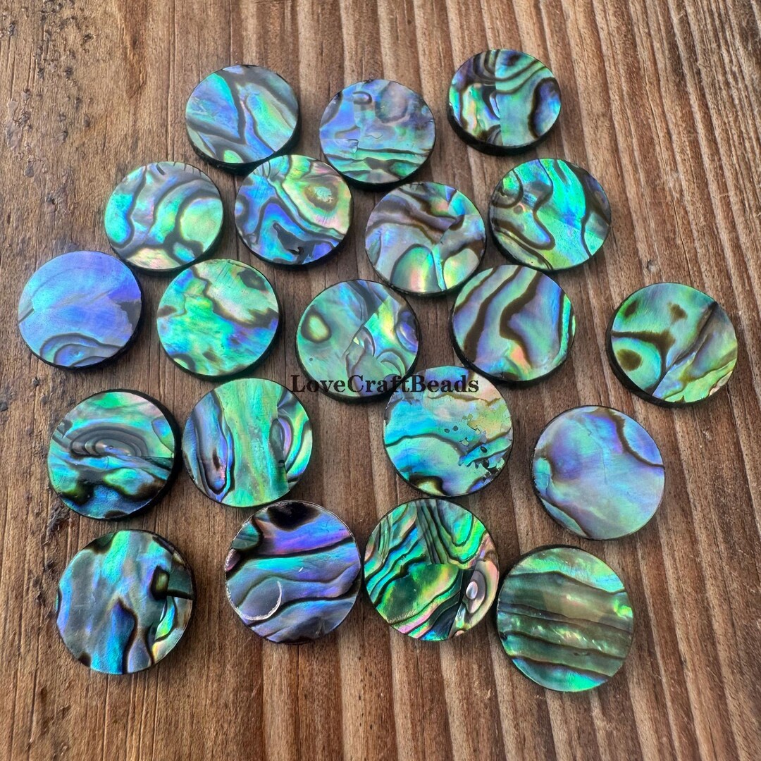 50pcs Double Abalone Shell Cabochons: Natural Round Coin Gemstone ...