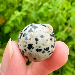 Puede incluir: Una esfera redonda de jaspe dálmata pulida con manchas blancas y negras. La esfera es aproximadamente del tamaño de una pelota de golf.
